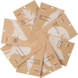 Japanese Vegetable and Herb Seeds • All Eight Packs