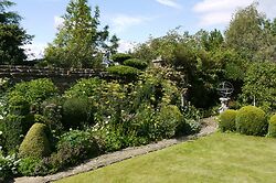 Cloud Pruned Laurus Nobilis