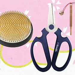 Kenzan Gift Set • Kenzan Medium + Kenzan Straightener + Sakagen Flower Scissors