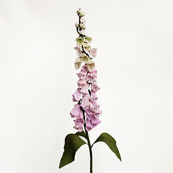 Niwaki Workshops: Paper Flower Art