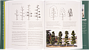 The Art of Creative Pruning