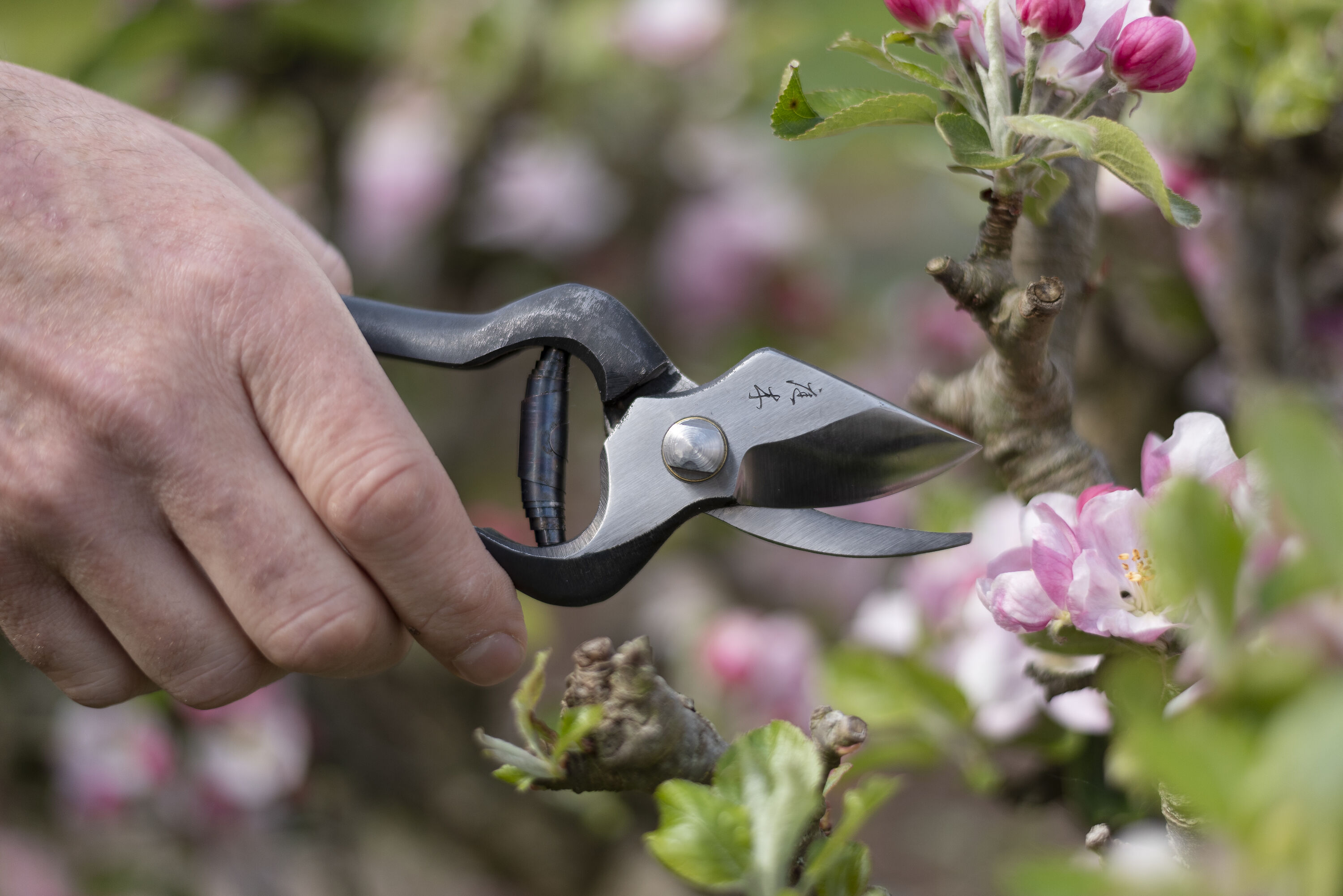 Niwaki Joppari Secateurs