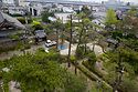 Pine Pruning At Nanshu Ji 8