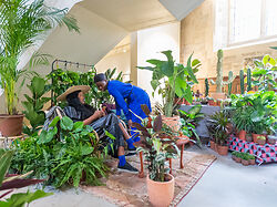 House plant festival at the Garden museum