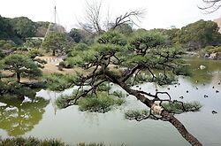 Kiyosumi Garden
