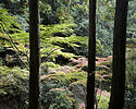 Hakuryu-en, Kyoto