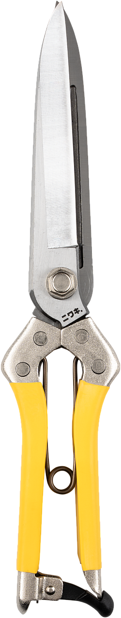 Niwaki Daikiba Clippers