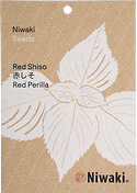 Red Shiso Japanese herb