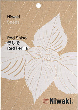 Red Shiso Seeds