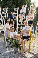 Niwaki on the road (and up a ladder)