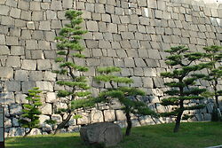 Osaka Castle Pines