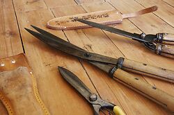 Topiary Clipping Shears