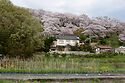 Takidanifudo From Below