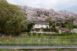Takidanifudo From Below