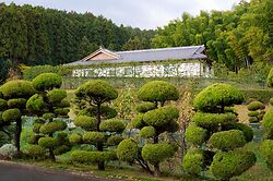 Nara1