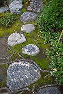 Roots and Rocks