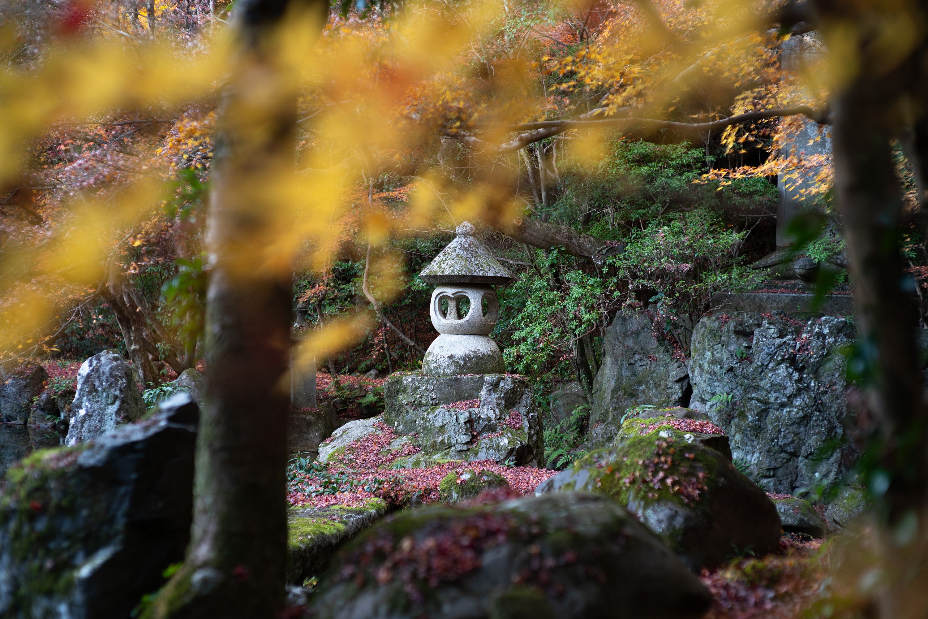 Kyoto December 2025