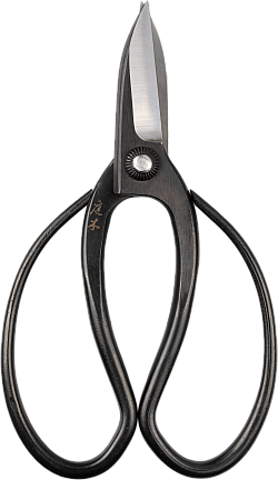 Sentei Garden Scissors