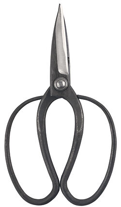 Taira Okubo Scissors