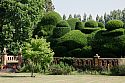 The estate’s famous yew hedges believed to be up to 700 years old