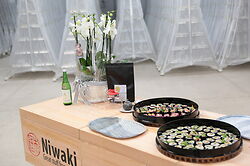 Niwaki Open House Spring Ladder Event and Short Film Screenings Fri 20th and Sat 21st April