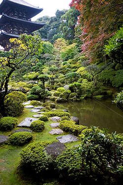 Taimadera 2