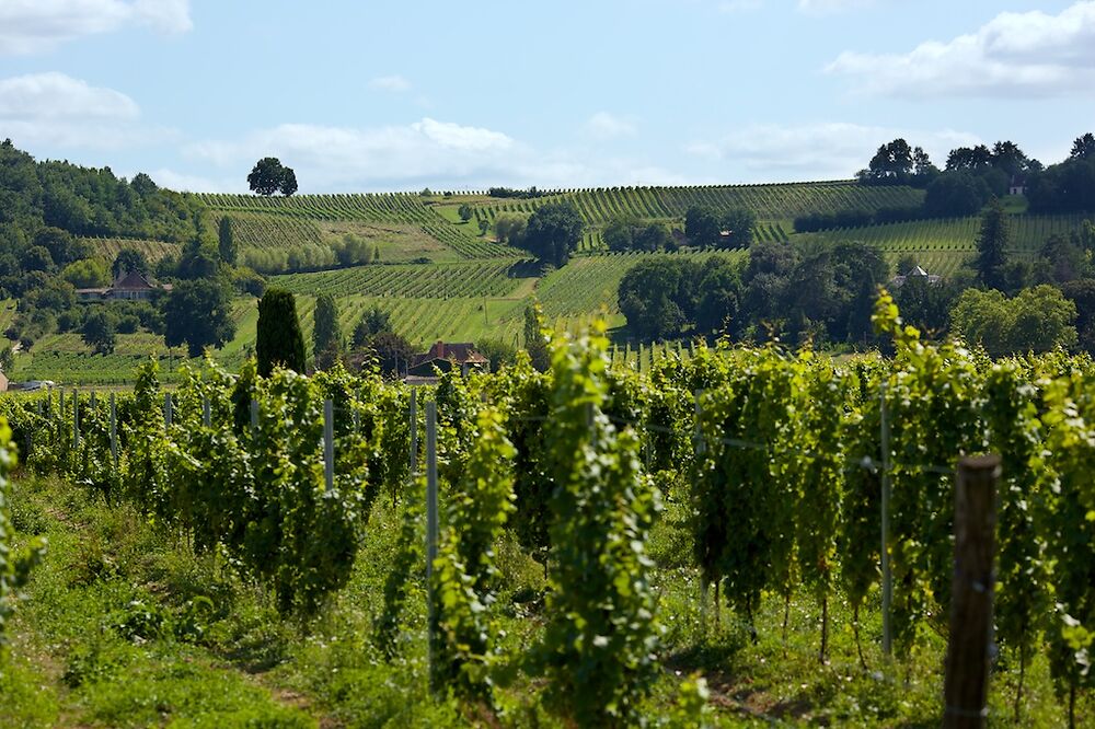 Les Vignobles De Bergerac