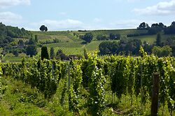 Les Vignobles De Bergerac