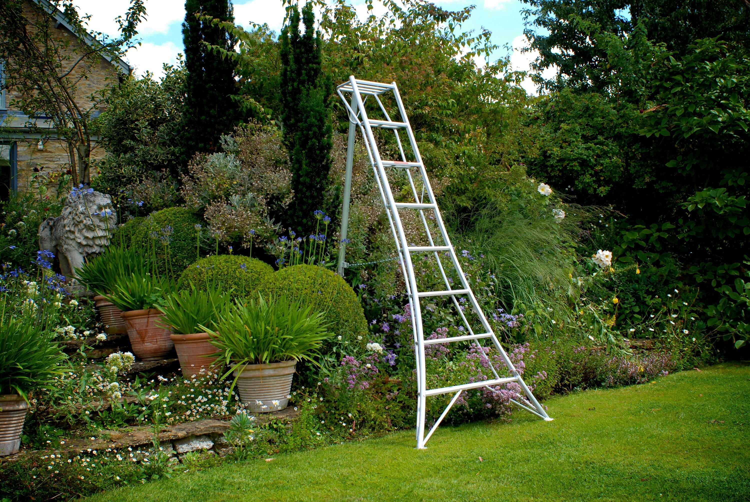 The 8' Niwaki Tripod Ladder