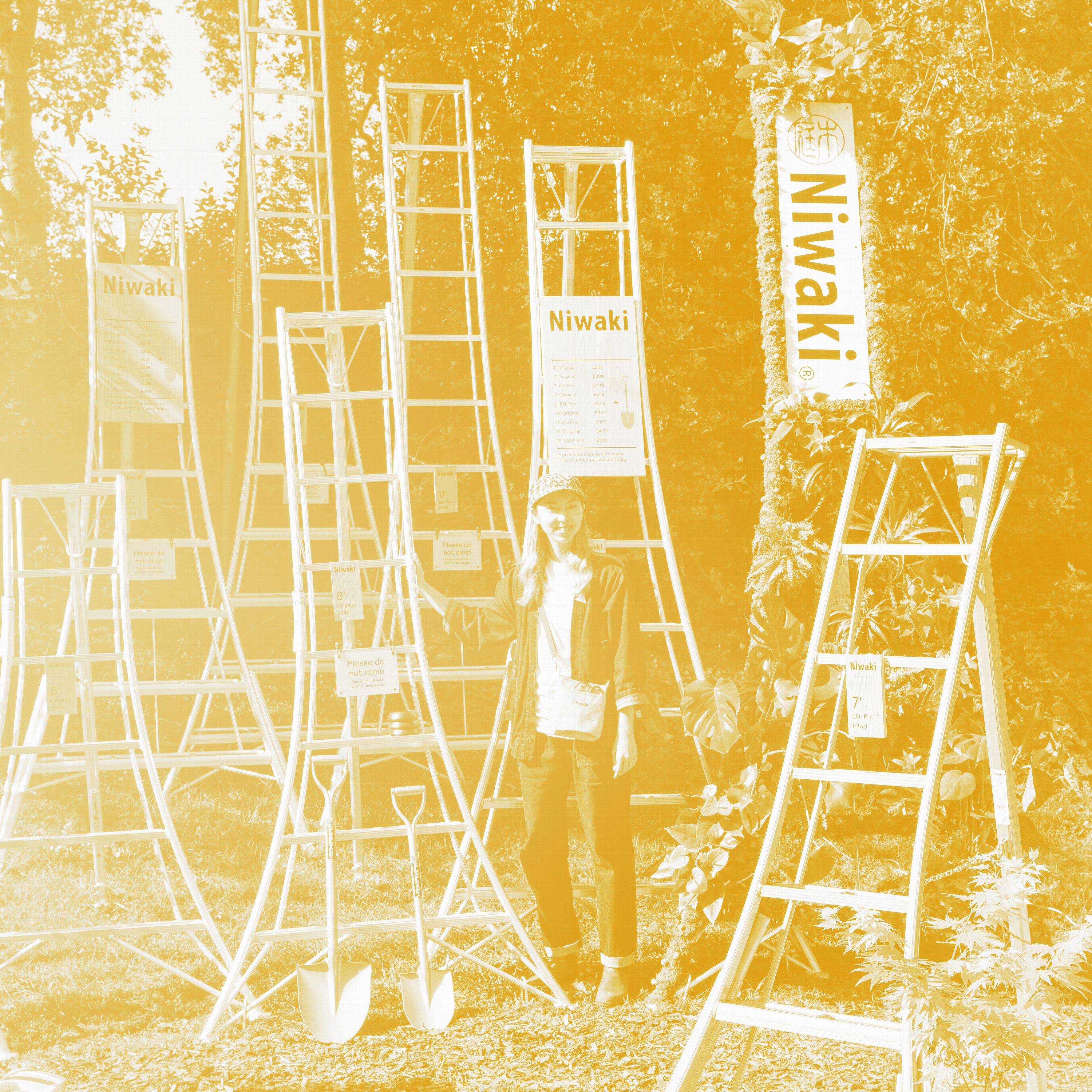 Lucie-ladders-LARGE-08798_background