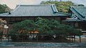 Pine Pruning at Jizo Temple