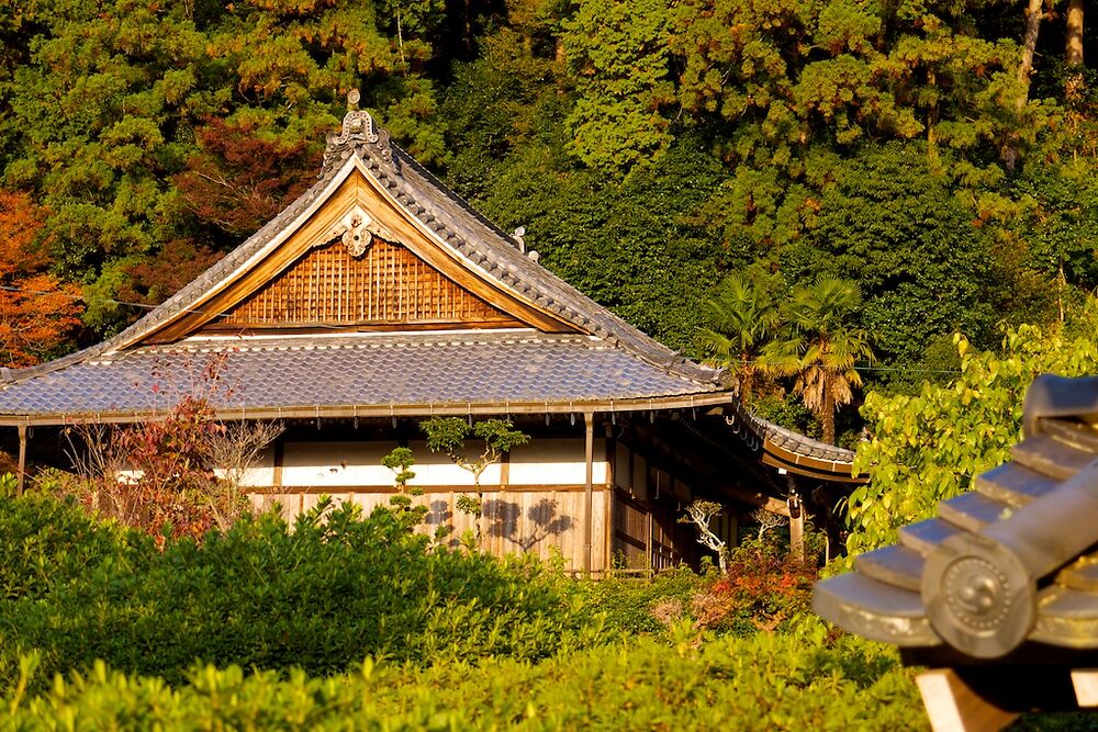 Monks Garden Nara1