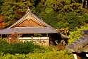 Monks Garden Nara1