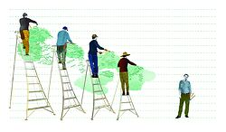 Niwaki Tripod Ladders