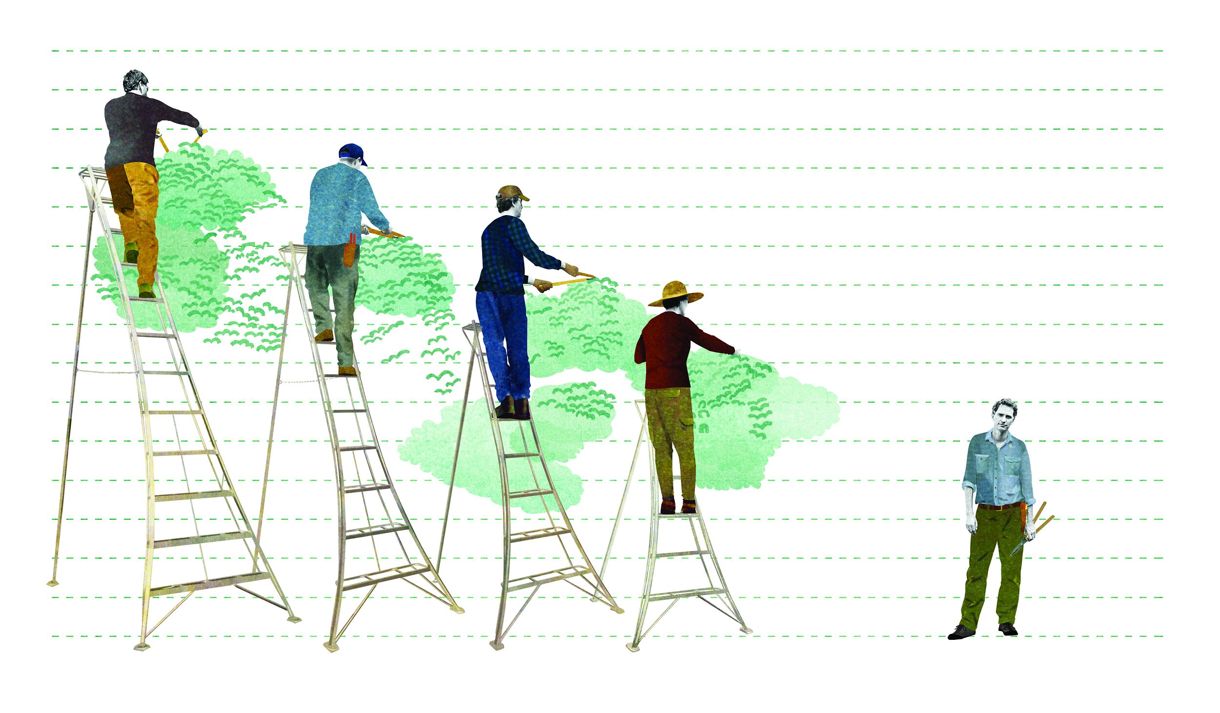 Niwaki Tripod Ladders