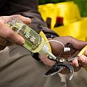 Protect carbon steel tools with Camellia Oil
