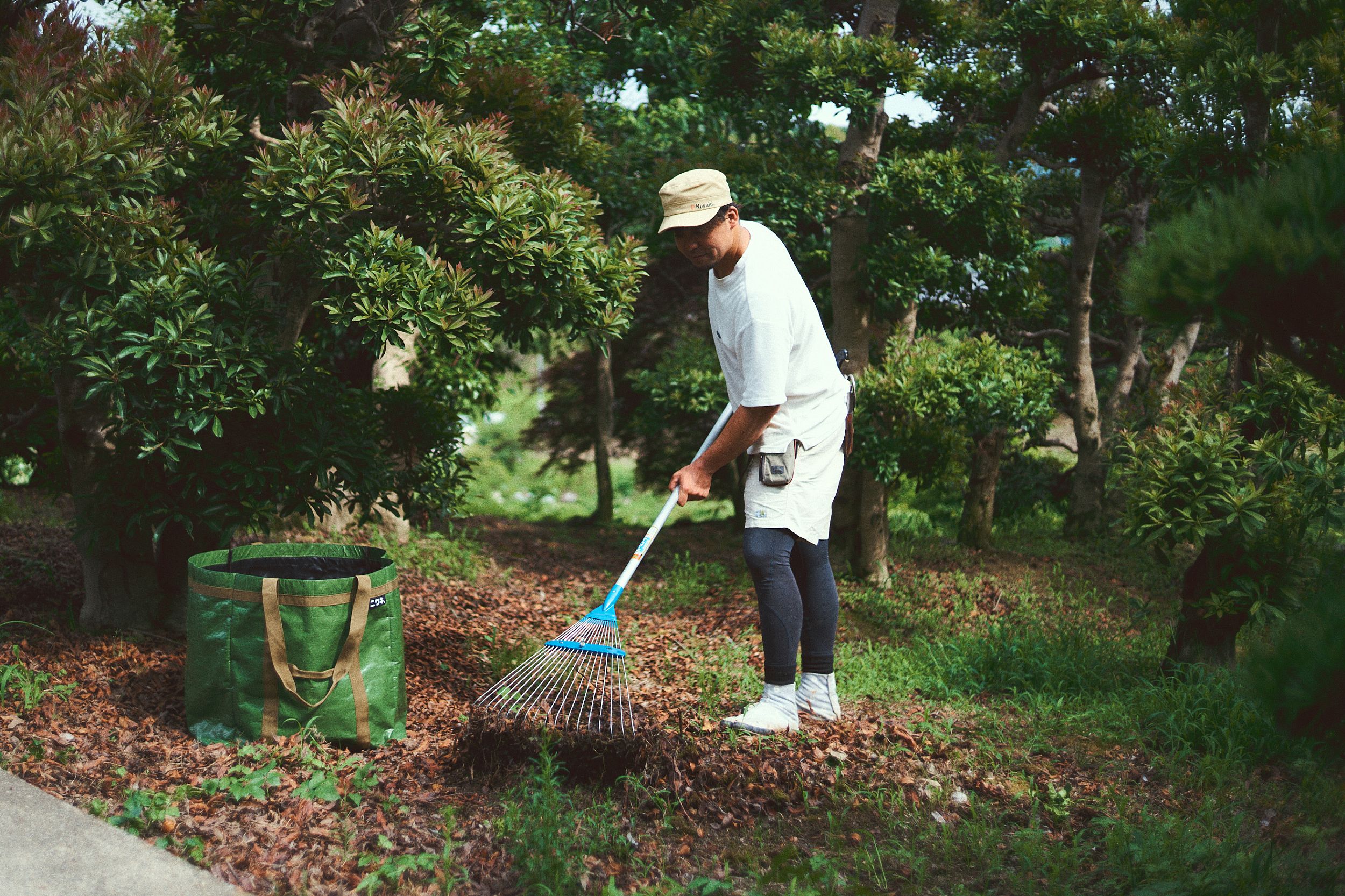 Aldi Rake Niwaki Aluminium Rake: lightweight, strong and adjustable