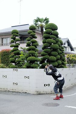 Okabec