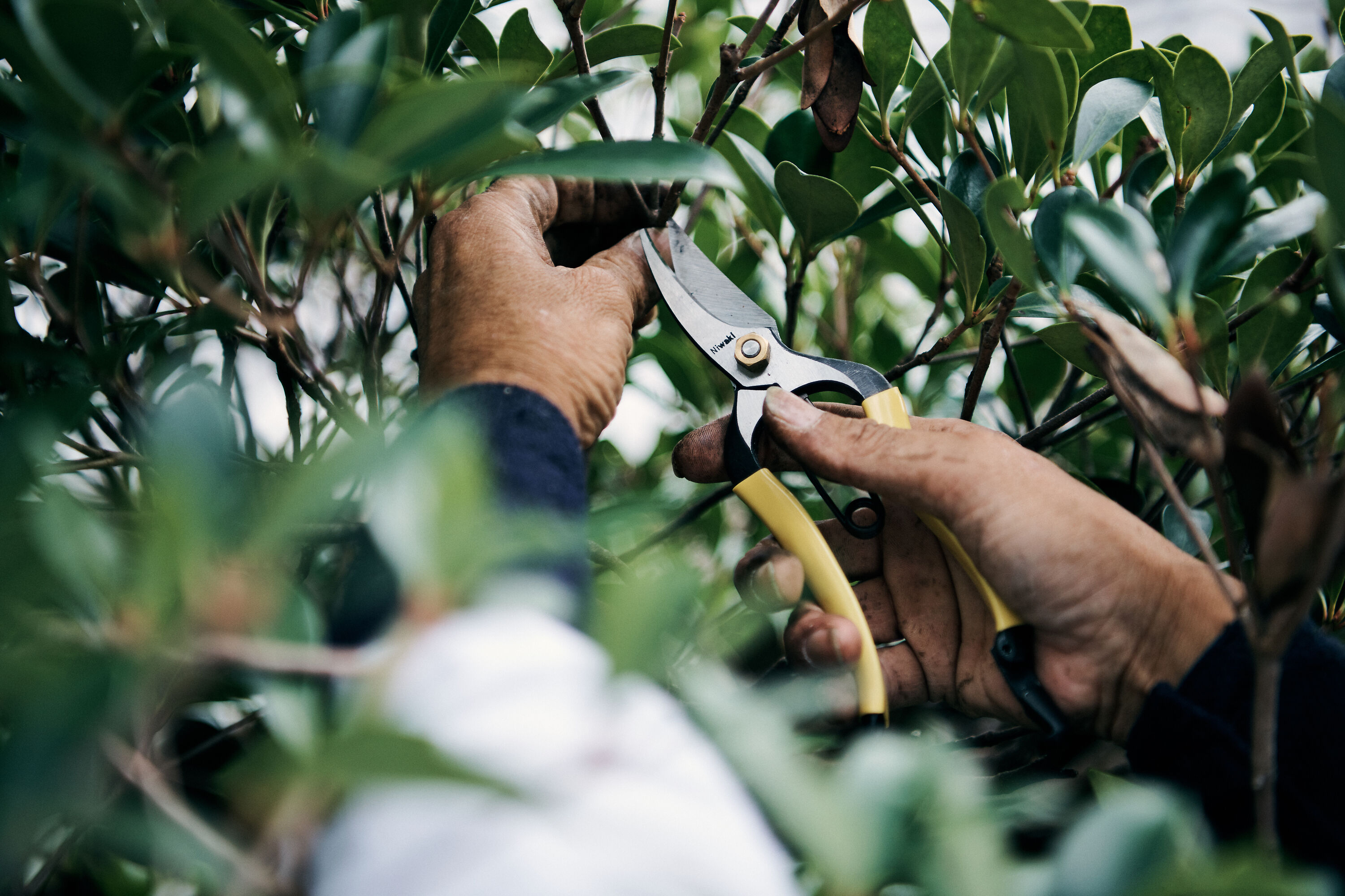 Niwaki GR Pro Lightweight Secateurs