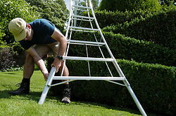 The En Pro Adjustable Tripod Ladder