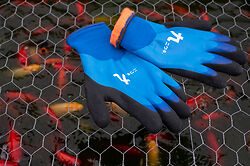 Niwaki Winter Gloves