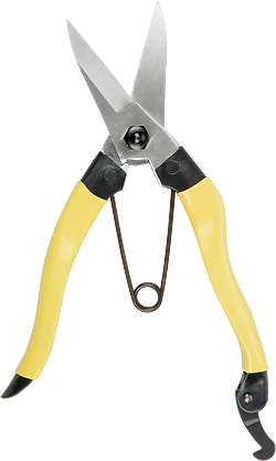 Niwaki Mainichi Snips (open)