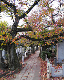 Tokyo cemetery