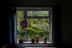 Jake’s Garden 3