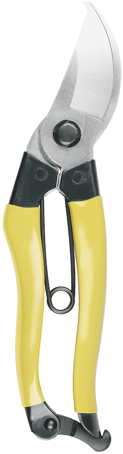 Niwaki Mainichi Secateurs • Right Handed