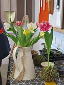 Yuka Uemura - Kokedama Workshop