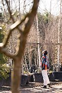 Tom Massey inspecting trees