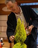 Jake Hobson pruning in Paul Smith store Kyoto