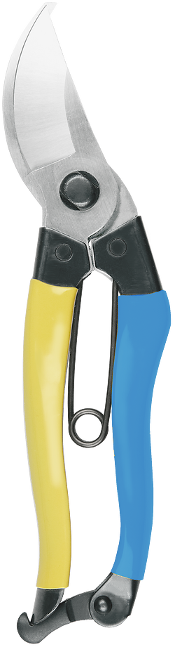 Niwaki Mainichi Secateurs • Left Handed