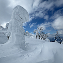 Snow monster on Mount Zao